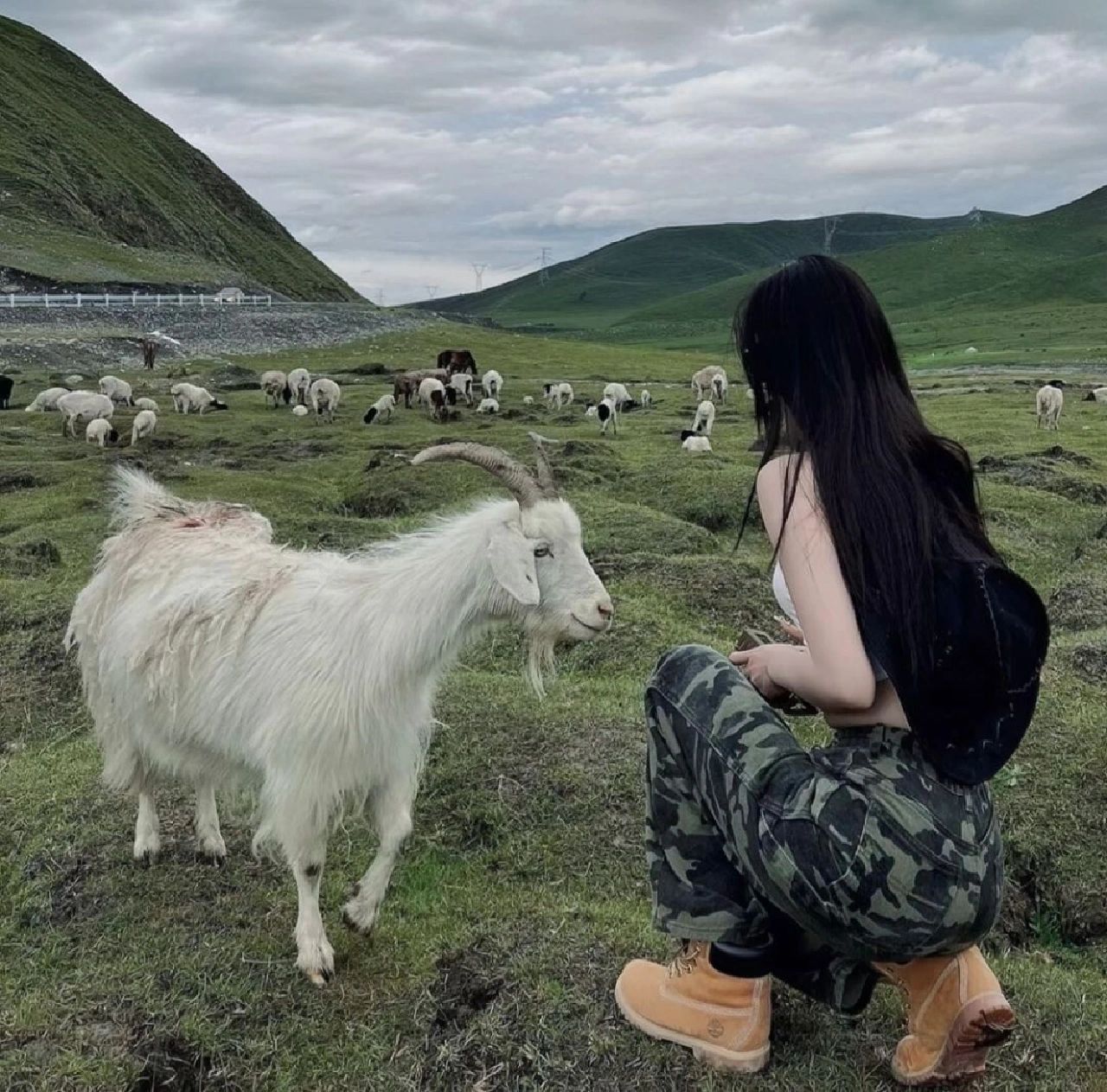 给人自由感的女生头像精选